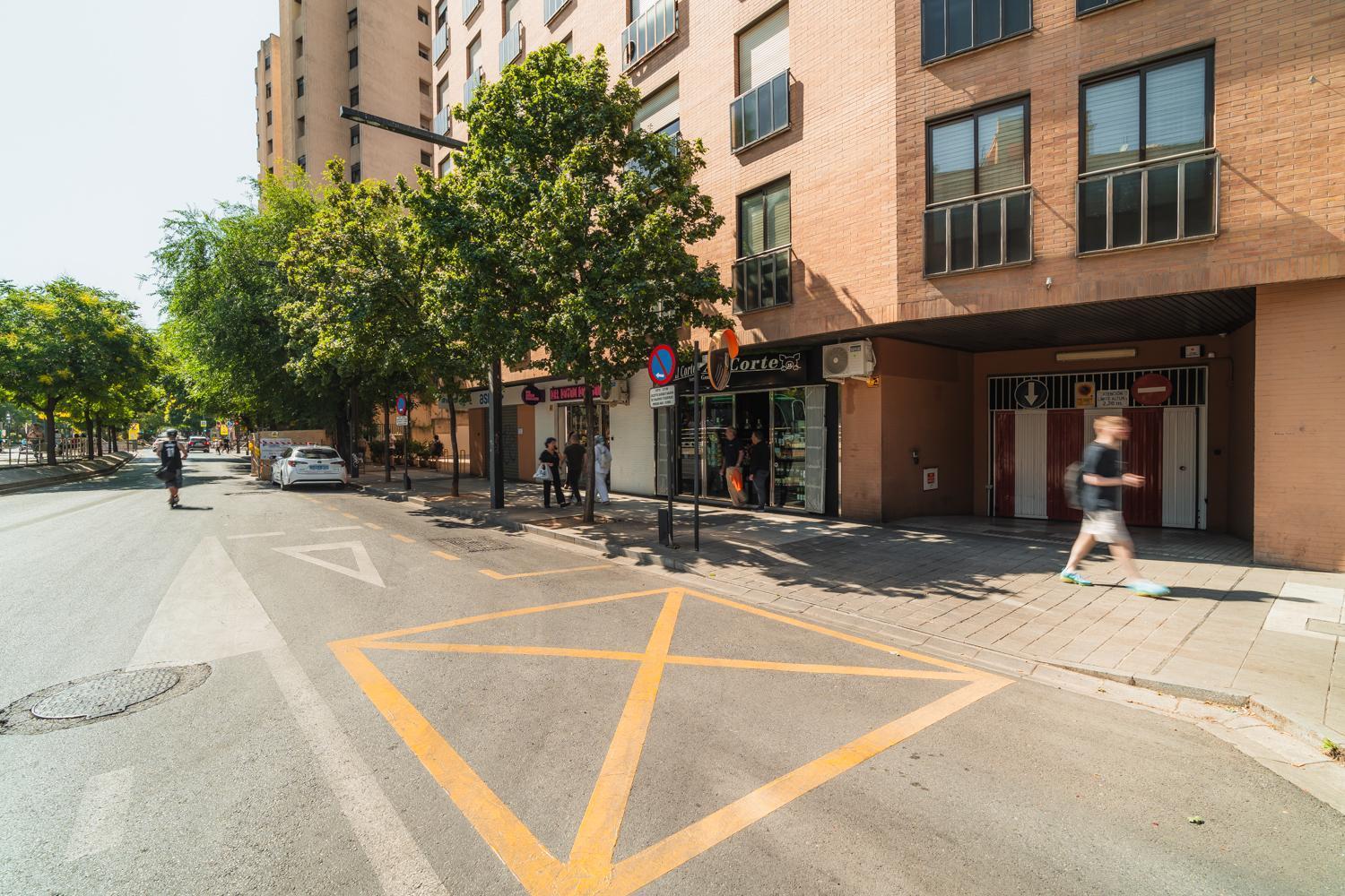 Constitucion Apartment - Free Parking Granada Luaran gambar